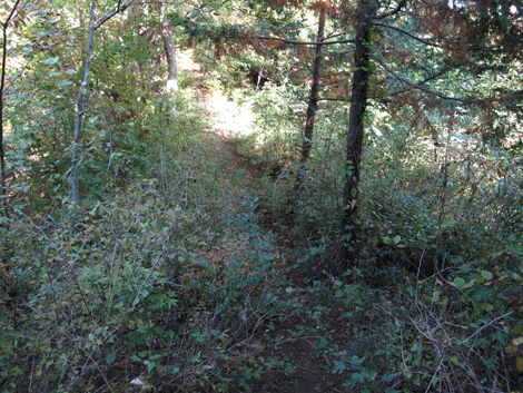 20161104hike (254)